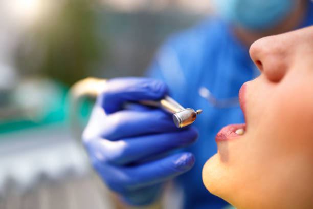 Best General Dentistry  in Harbor Bluffs, FL